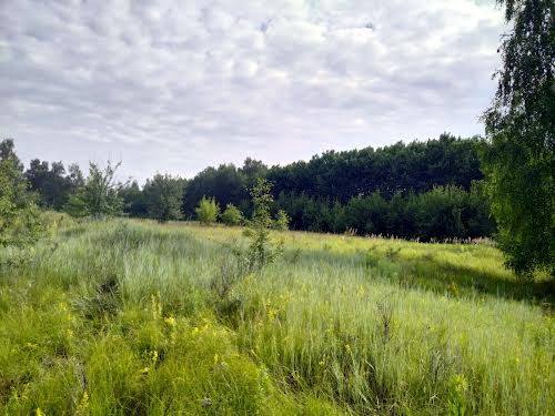 ділянка за адресою с. Велика Бугаївка, Леніна