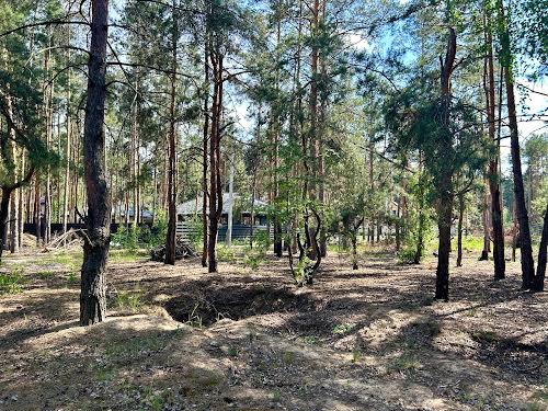 ділянка за адресою Симеренка