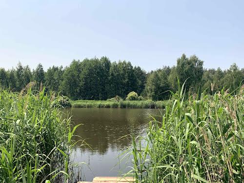 дом по адресу Незалежності, 6