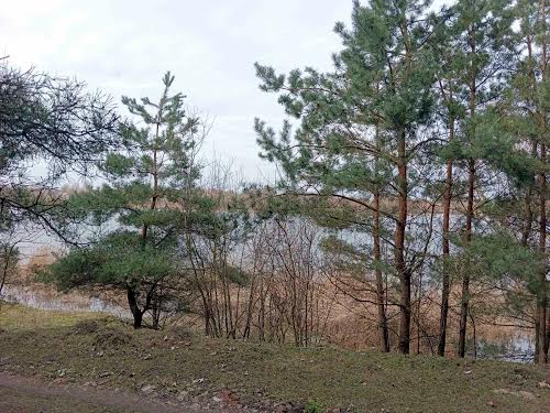 участок по адресу с. Водички, Водички