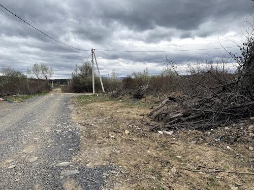 участок по адресу Сливовая ул.