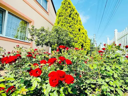 будинок за адресою Назарія Яремчука пров. (Кірова), 48