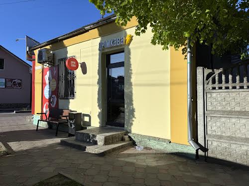 комерційна за адресою Княгині Ольги вул., 30