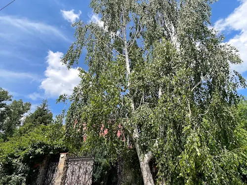 дом по адресу Деснянская ул.