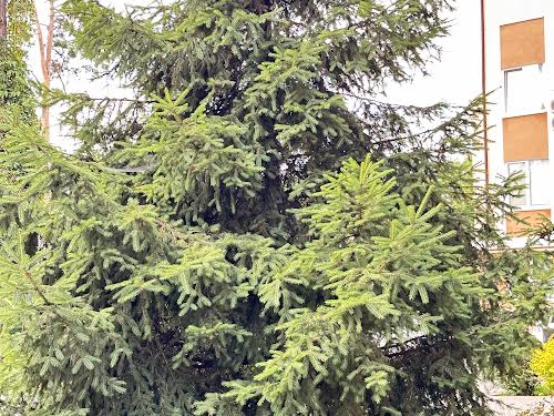 квартира по адресу Шота Руставели ул., 6