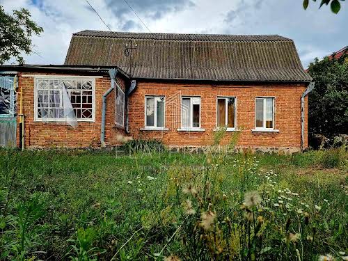 участок по адресу с. Петропавловская борщаговка, Мельниченко, 7