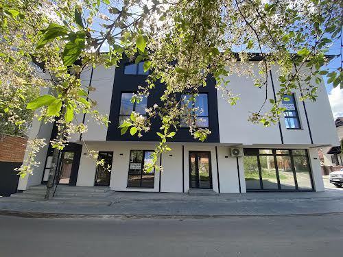 квартира за адресою Лялі Ратушної вул., 113