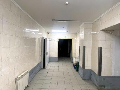 комерційна за адресою Магдалинівська вул., 1А