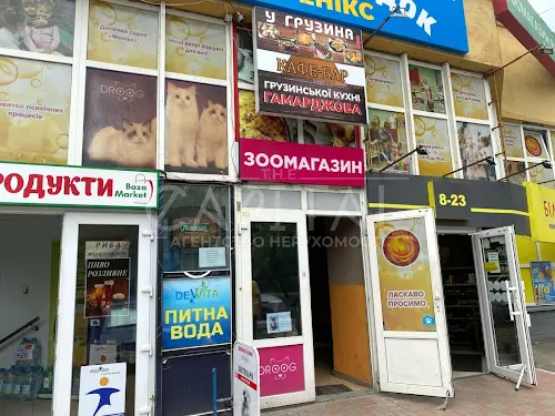 комерційна за адресою Гетьмана Кирила Розумовського вул. (Миколи Краснова), 17