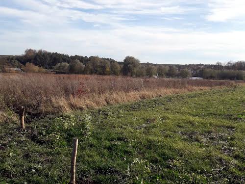 участок по адресу Хмельницкий, С. Карпівці