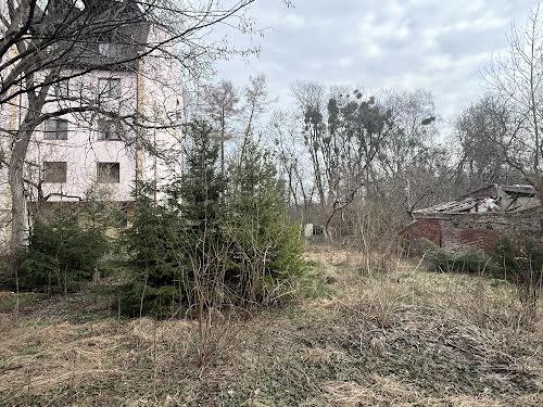 участок по адресу Академика Рудницкого ул.