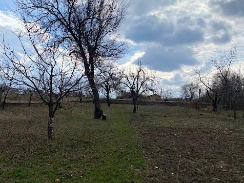 дом по адресу Вишнева, 10