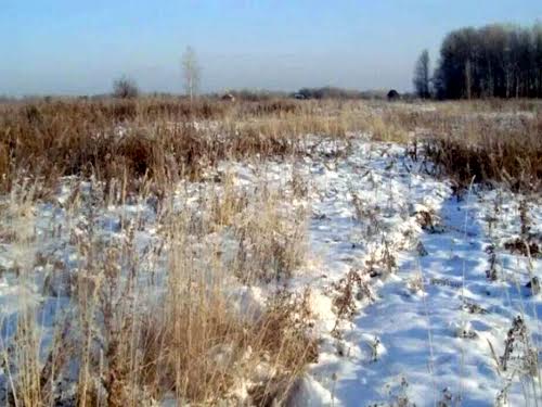 участок по адресу с. Старые Безрадичи, 