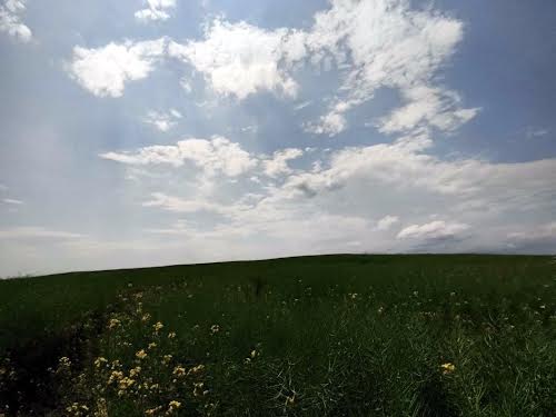 ділянка за адресою с. Солонка, алгоритмічна