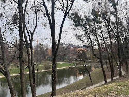 участок по адресу Академика Рудницкого ул.