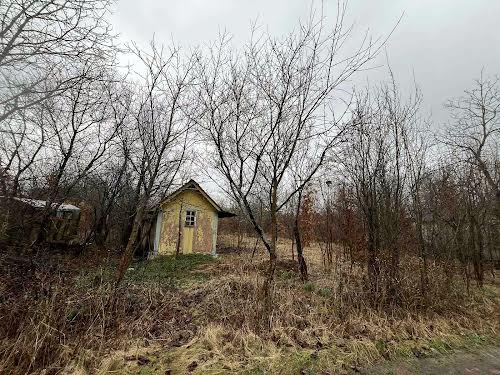 ділянка за адресою с. Павлівка, 