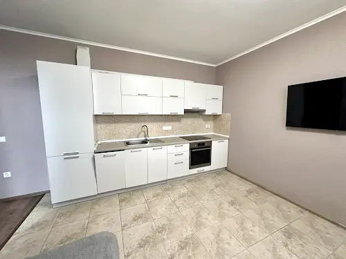 квартира за адресою Олени Пчілки вул., 7