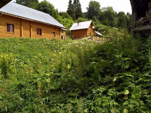 будинок за адресою с. Орявчик, Під Тисою