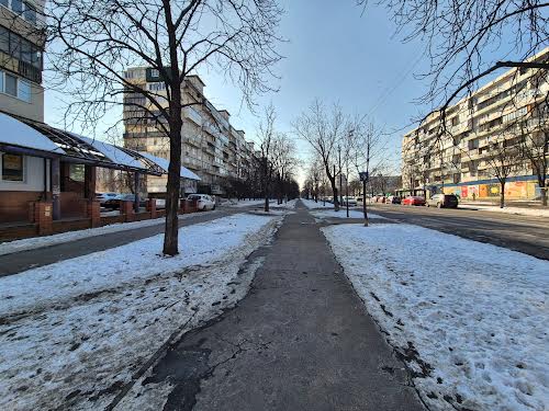 комерційна за адресою Ореста Левицького вул. (Академіка Курчатова), 20