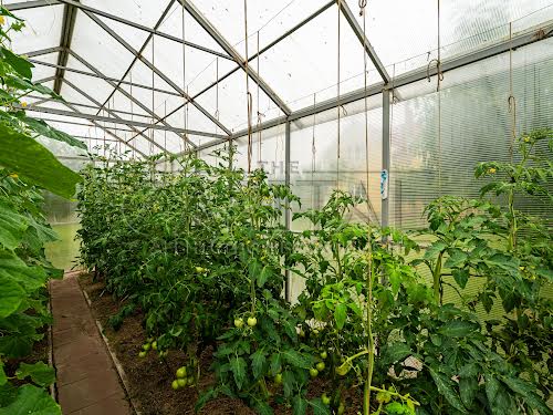 будинок за адресою с. Мартусівка, каштанова