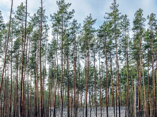 будинок за адресою Бортничі