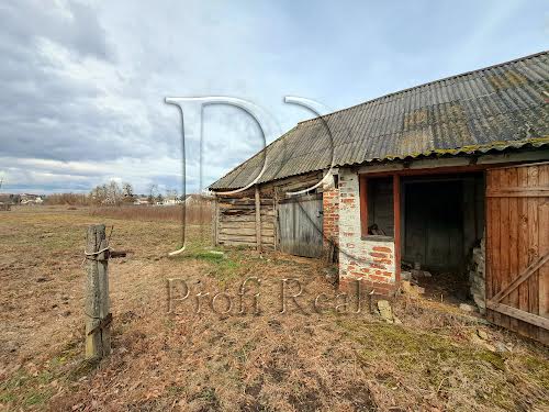 дом по адресу пгт. Макаров, Ватутіна, 21