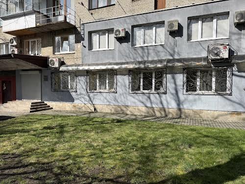 комерційна за адресою Володимира Великого вул. (), 29