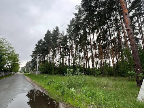ділянка за адресою Ілони Куровської вул.