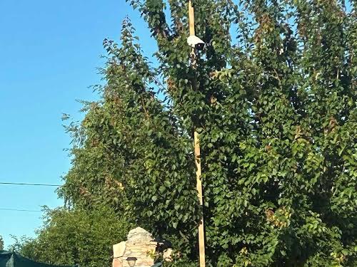 дом по адресу Незалежності, 6