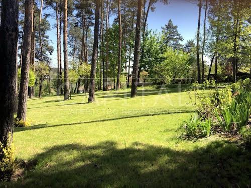 участок по адресу центральна