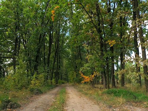 участок по адресу Лісова