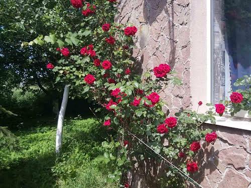 дом по адресу Петра Сагайдачного ул., 29