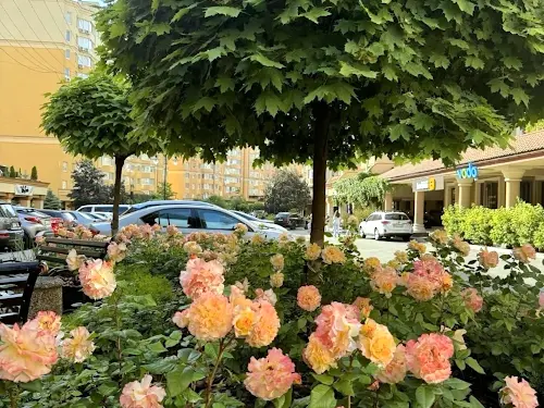 квартира за адресою Братська вул., 24