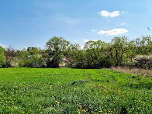 будинок за адресою с. Нижнів, Молодіжна, 1