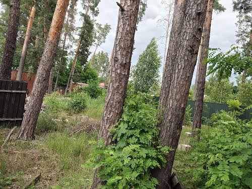 коммерческая по адресу Соборності, 27