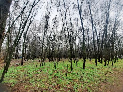 квартира за адресою Тираспольська вул., 58