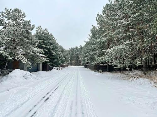 будинок за адресою Осикове