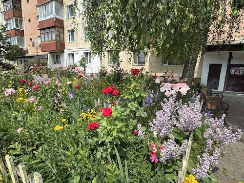квартира за адресою Антонія Годинки вул., 15