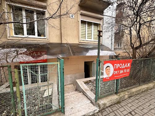 комерційна за адресою Ярослава Пастернака вул., 4