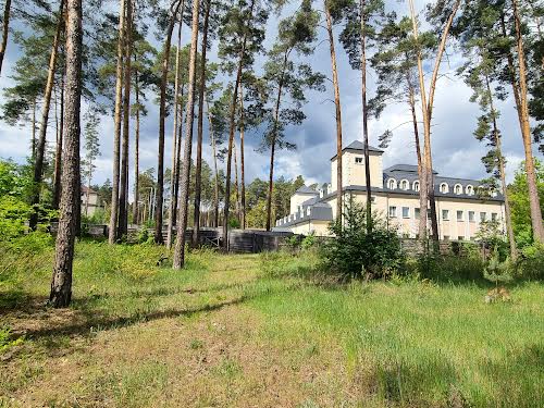 ділянка за адресою с. Лютіж, Вітряного