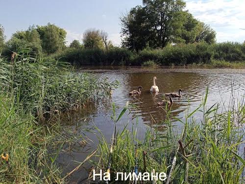 будинок за адресою Моряк 4, 29