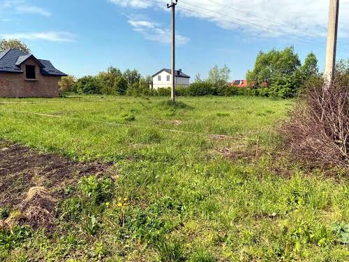 ділянка за адресою с. Підберізці, лесі українки