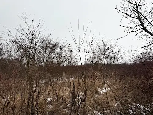 участок по адресу Озёрная ул., 88