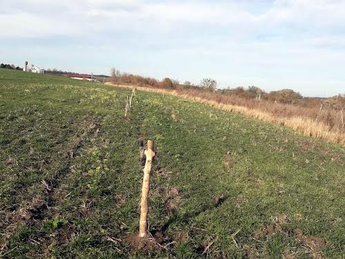 участок по адресу Хмельницкий, С. Карпівці