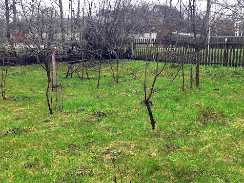 будинок за адресою с. Івниця, Івниця