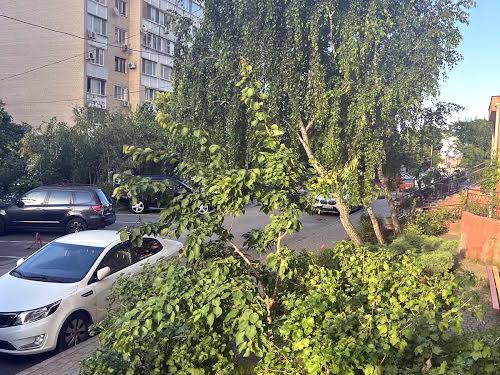 квартира за адресою Вильямса, 58/9