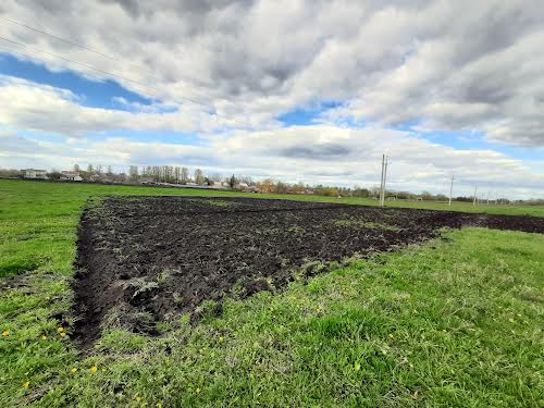 ділянка за адресою с. Великий Ходачків, 