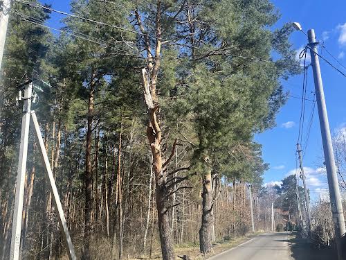 дом по адресу Шевченка