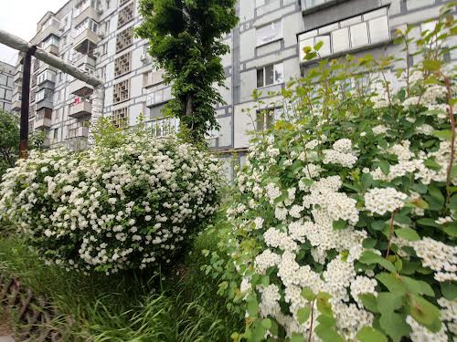 квартира по адресу Тополя-2 ул., 12