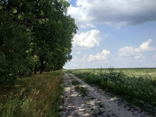 участок по адресу Медова
